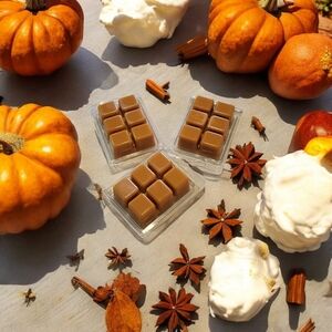 Pumpkin Souffle Premium Soy Wax Melting Tarts Handcrafted Set of Three